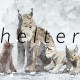 Shelter 2 Download Full Game Mobile Free